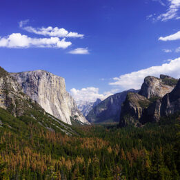 Klettern in Yosemite Nationalpark: Ein Reisebericht